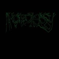 Виниловая пластинка NARCISSY / DEEP WOODS (1LP)